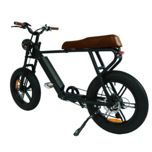 Aluminum frame Ultra-light body fast speed electric bicycle